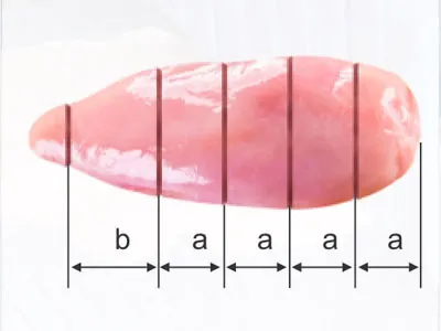 قطاعة ذكية (آلة تقطيع ذكية، فرامة لحم)، IQKJ2-200-II